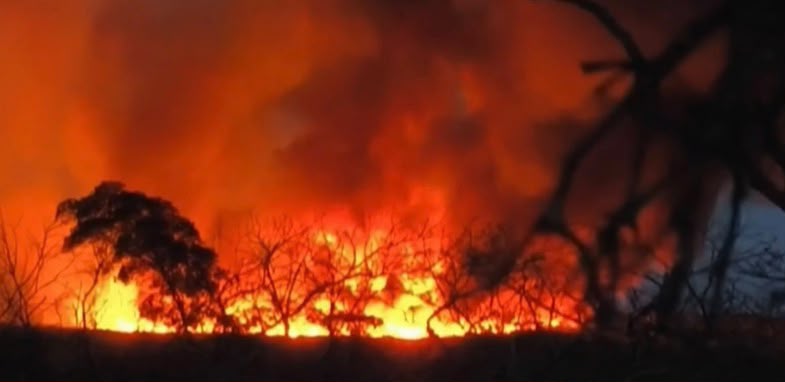 Incêndio atinge Parque Nacional do Boqueirão da Onça em Sento Sé